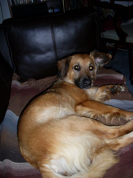 ä fiona happy couch