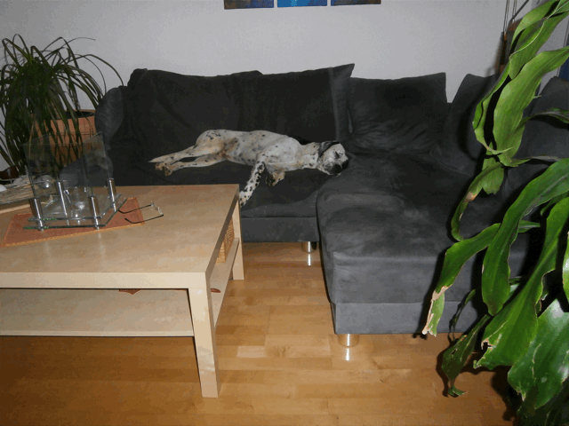 ß mariano happy auf couch
